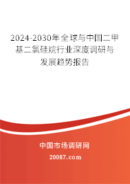 2024-2030年全球与中国二甲基二氯硅烷行业深度调研与发展趋势报告