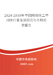 2024-2030年中国精细化工中间体行业发展研究与市场前景报告