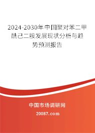 2024-2030年中国聚对苯二甲酰己二胺发展现状分析与趋势预测报告