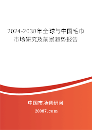 2024-2030年全球与中国毛巾市场研究及前景趋势报告