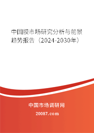 中国膜市场研究分析与前景趋势报告（2024-2030年）