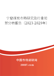 宁夏煤炭市场研究及行业前景分析报告（2023-2029年）