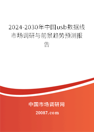 2024-2030年中国usb数据线市场调研与前景趋势预测报告