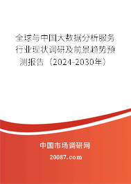 全球与中国大数据分析服务行业现状调研及前景趋势预测报告（2024-2030年）