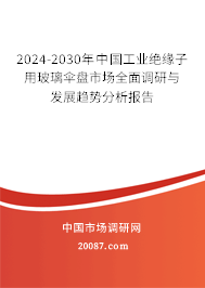 2024-2030年中国工业绝缘子用玻璃伞盘市场全面调研与发展趋势分析报告