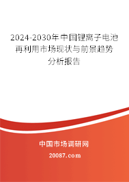 2024-2030年中国锂离子电池再利用市场现状与前景趋势分析报告