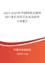 2023-2029年中国磷酸及偏磷酸行业现状研究及发展趋势分析报告