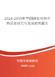 2024-2030年中国硼氢化钠市场调查研究与发展趋势报告