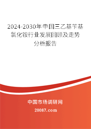 2024-2030年中国三乙基苄基氯化铵行业发展回顾及走势分析报告