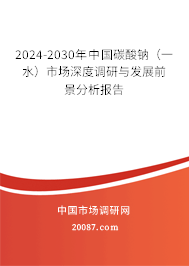 2024-2030年中国碳酸钠（一水）市场深度调研与发展前景分析报告