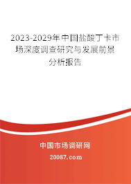 2023-2029年中国盐酸丁卡市场深度调查研究与发展前景分析报告