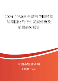 2024-2030年全球与中国异氰酸酯固化剂行业发展分析及前景趋势报告 2024-2030年全球与中国异氰酸酯固化剂行业发展分析及前景趋势报告
