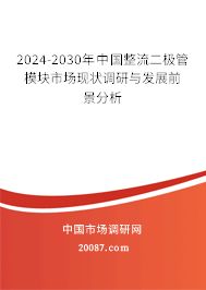 2024-2030年中国整流二极管模块市场现状调研与发展前景分析