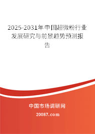 2025-2031年中国超微粉行业发展研究与前景趋势预测报告 2025-2031年中国超微粉行业发展研究与前景趋势预测报告