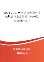 2024-2030年全球与中国电解精炼铜行业发展现状分析及趋势预测报告