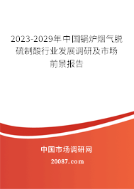 2023-2029年中国锅炉烟气脱硫制酸行业发展调研及市场前景报告