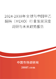 2024-2030年全球与中国甲乙酮肟（MEKO）行业发展深度调研与未来趋势报告