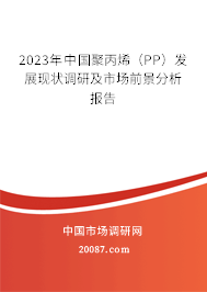 2023年中国聚丙烯（PP）发展现状调研及市场前景分析报告