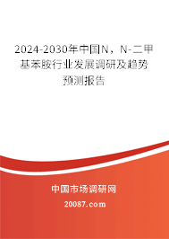 2024-2030年中国N，N-二甲基苯胺行业发展调研及趋势预测报告