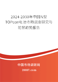 2024-2030年中国N型TOPcon电池市场调查研究与前景趋势报告