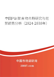 中国PBI聚合物市场研究与前景趋势分析（2024-2030年）