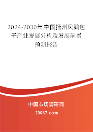 2024-2030年中国扬州风鹅包子产业发展分析及发展前景预测报告