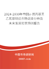 2024-2030年中国γ-巯丙基三乙氧基硅烷市场调查分析及未来发展前景预测报告