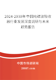 2024-2030年中国电磁波吸收器行业发展深度调研与未来趋势报告