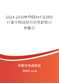 2024-2030年中国KrF光刻胶行业市场调研与前景趋势分析报告