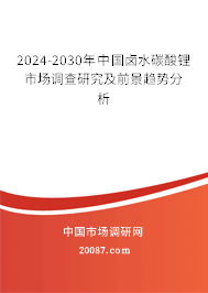 2024-2030年中国卤水碳酸锂市场调查研究及前景趋势分析