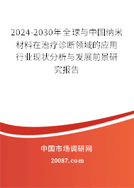 2024-2030年全球与中国纳米材料在治疗诊断领域的应用行业现状分析与发展前景研究报告