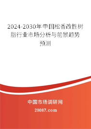 2024-2030年中国松香改性树脂行业市场分析与前景趋势预测