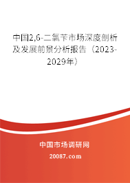 中国2,6-二氯苄市场深度剖析及发展前景分析报告（2023-2029年）