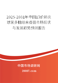 2025-2031年中国13价肺炎球菌多糖结合疫苗市场现状与发展趋势预测报告 2025-2031年中国13价肺炎球菌多糖结合疫苗市场现状与发展趋势预测报告