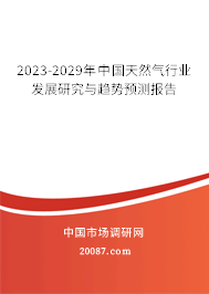 2023-2029年中国天然气行业发展研究与趋势预测报告