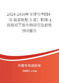 2024-2030年全球与中国4-（6-氨基吡啶-3-基）哌嗪-1-羧酸叔丁酯市场研究及趋势预测报告