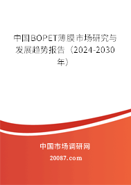 中国BOPET薄膜市场研究与发展趋势报告（2024-2030年）