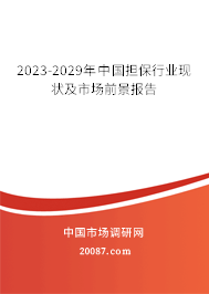 2023-2029年中国担保行业现状及市场前景报告