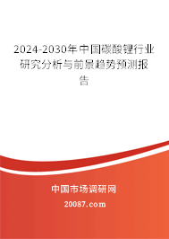 2024-2030年中国碳酸锂行业研究分析与前景趋势预测报告