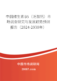 中国维生素B5（泛酸钙）市场调查研究与发展趋势预测报告（2024-2030年）