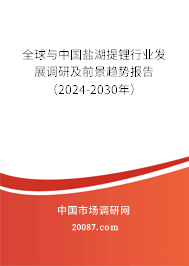 全球与中国盐湖提锂行业发展调研及前景趋势报告（2024-2030年）