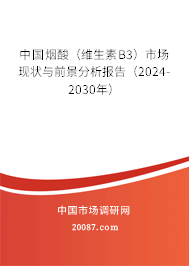 中国烟酸（维生素B3）市场现状与前景分析报告（2024-2030年）