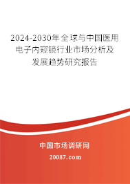 2024-2030年全球与中国医用电子内窥镜行业市场分析及发展趋势研究报告