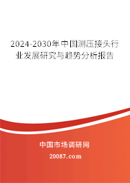 2024-2030年中国测压接头行业发展研究与趋势分析报告