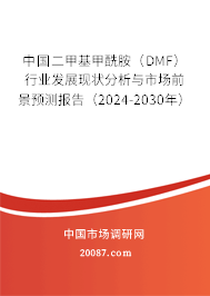 中国二甲基甲酰胺（DMF）行业发展现状分析与市场前景预测报告（2024-2030年）