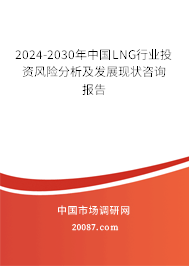 2024-2030年中国LNG行业投资风险分析及发展现状咨询报告