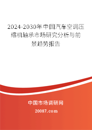 2024-2030年中国汽车空调压缩机轴承市场研究分析与前景趋势报告