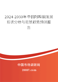 2024-2030年中国吲哚酮发展现状分析与前景趋势预测报告