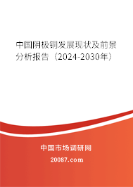 中国阴极铜发展现状及前景分析报告（2024-2030年）