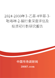 2024-2030年3-乙基-4甲基-3-吡咯啉-2-酮行业深度评估及投资可行性研究报告